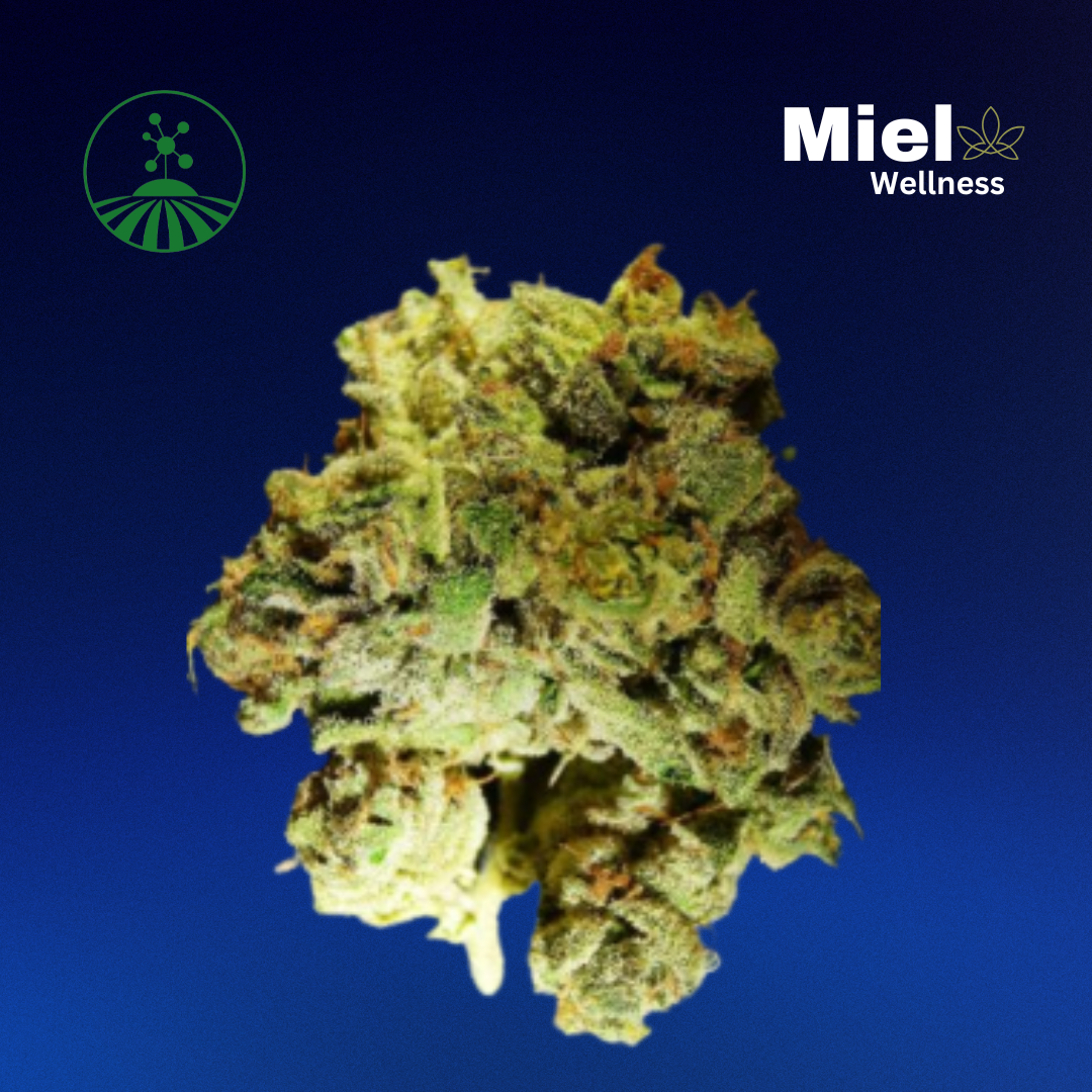 Photograph of product: Bubba Kush | Flower | 3.5g