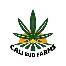 Photograph of product: CALI BUDS | CALI OG | SHAKE | 14G