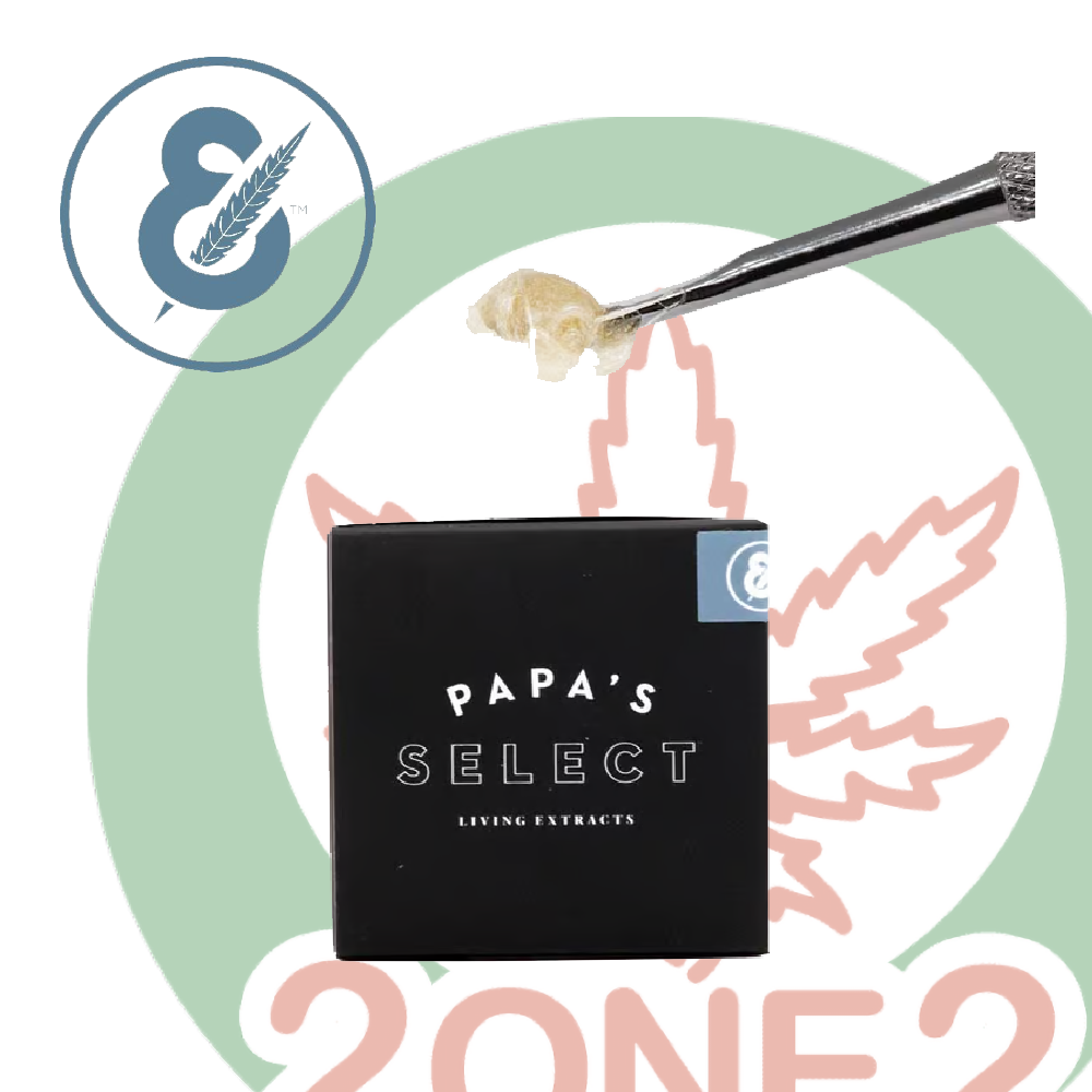 Photograph of product: Papa & Barkley - Fatso - Live Rosin