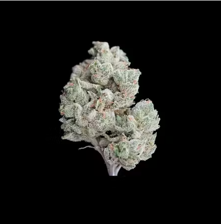 Photograph of product: Pink Water | 3.5g | Flower