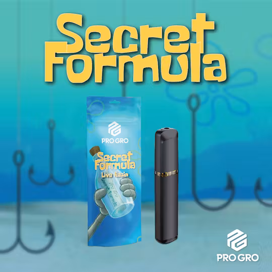 Photograph of product: SECRET FORMULA 1G LIVE RESIN DISPOSABLE
