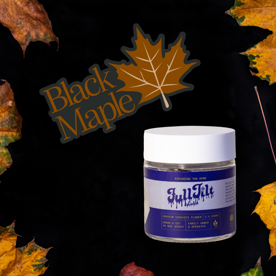 Photograph of product: Full Tilt | Flower | Black Maple | (Dulce De Uva X Sherbanger ) | 3.5g-Oui'd-Hybrid (Copy)
