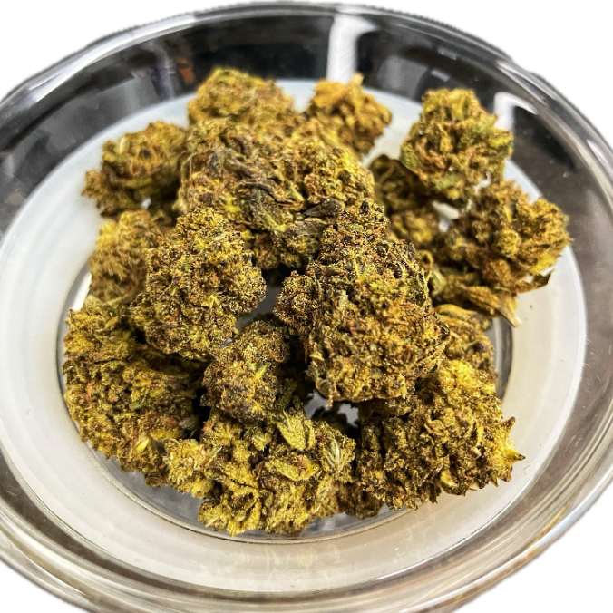 Photograph of product: CASEY JONES | 1G