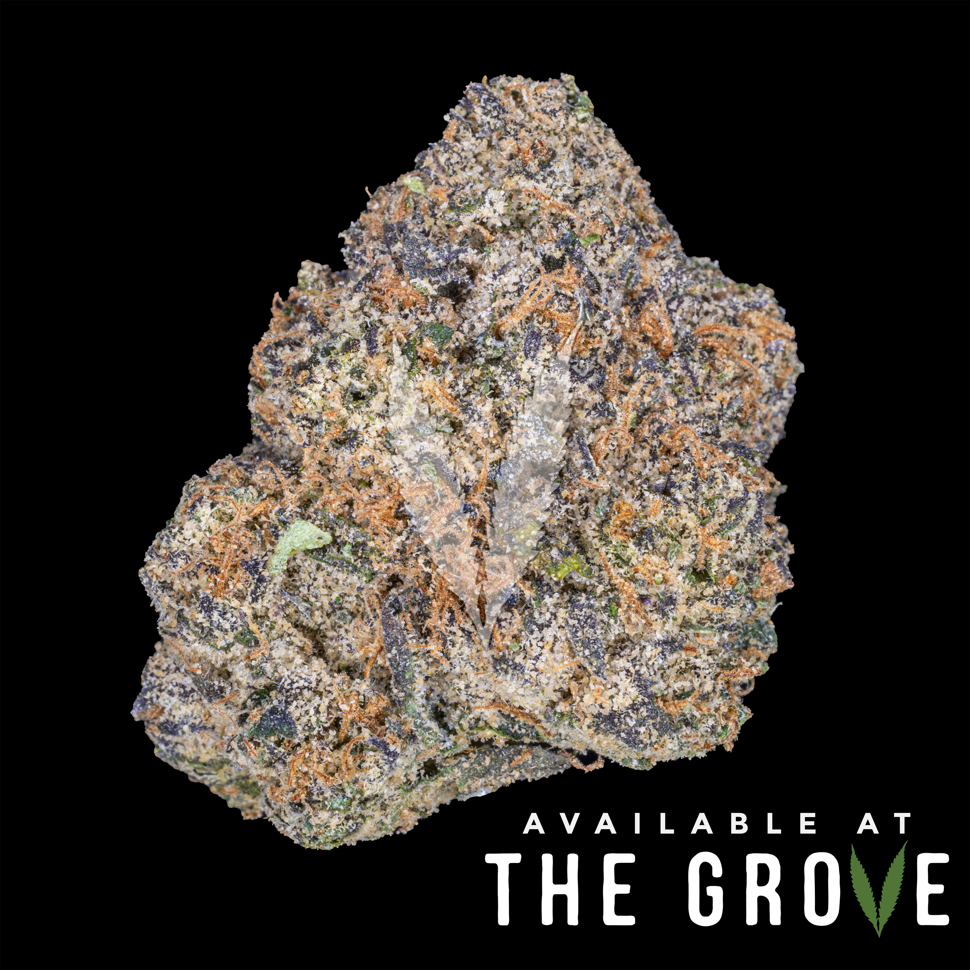 Photograph of product: Traditional | Gelato 1/8th - 3.5g