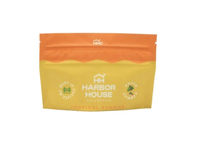 Photograph of product: 1:1 Tropical Sunrise au chocolat Rosin Gummies | TH-oui:CBD | TAX INCLUDED