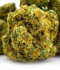 Photograph of product: Grapefruit Durban (B) - 28g