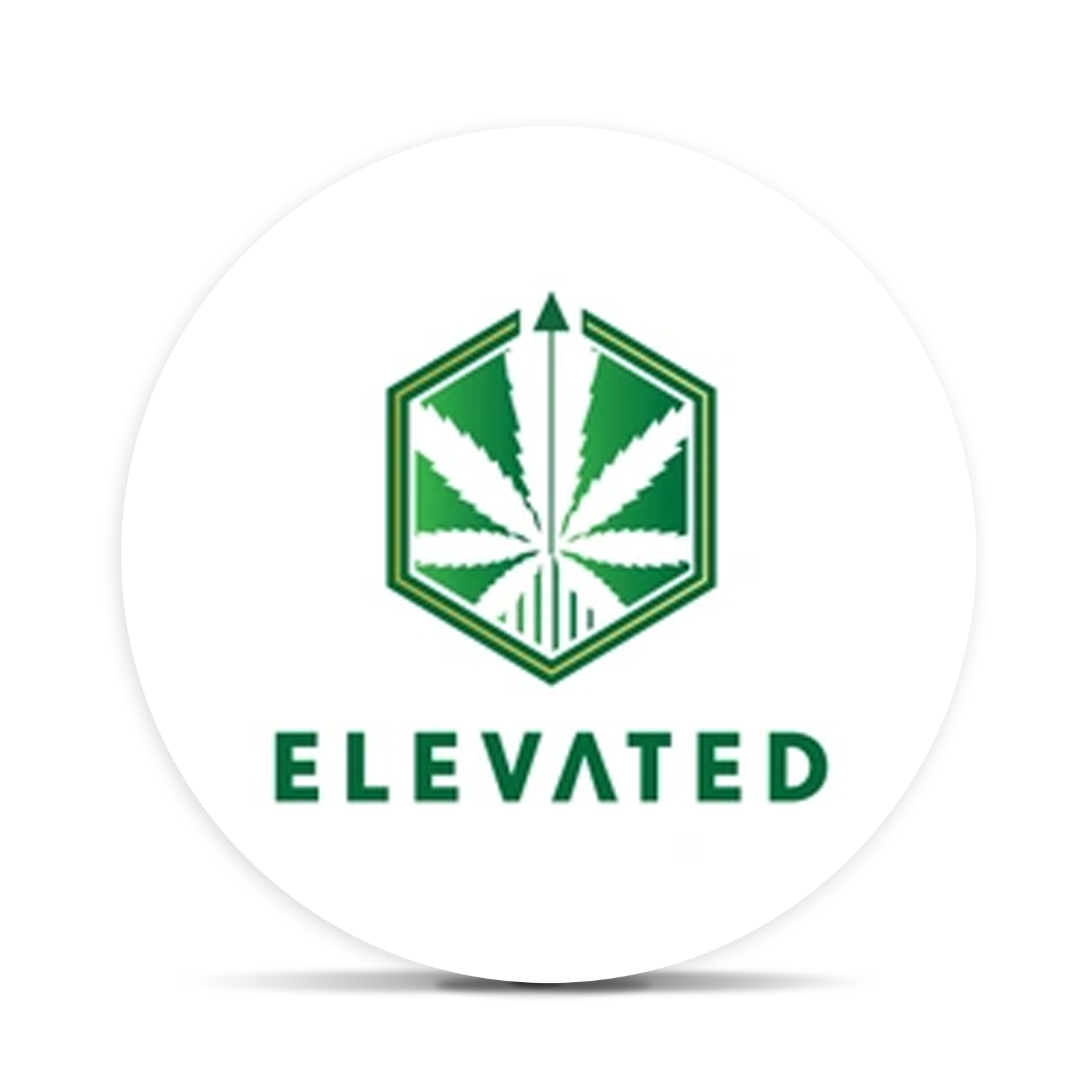 Logo for img-fluid: elevated