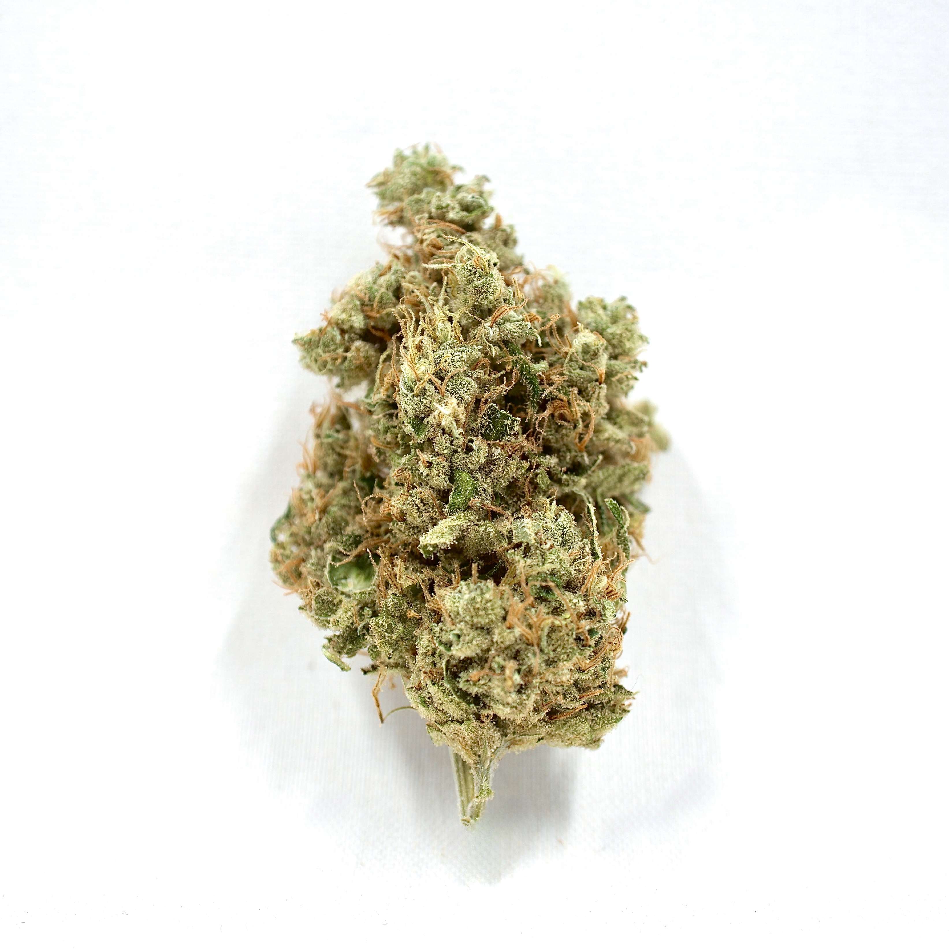 Photograph of product: G13 x Haze Somango | TAC: 23.3% (14g Package)