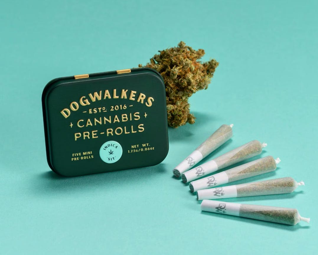 Photograph of product: CHEM SCOUT '87 | 1.75G | 5PK