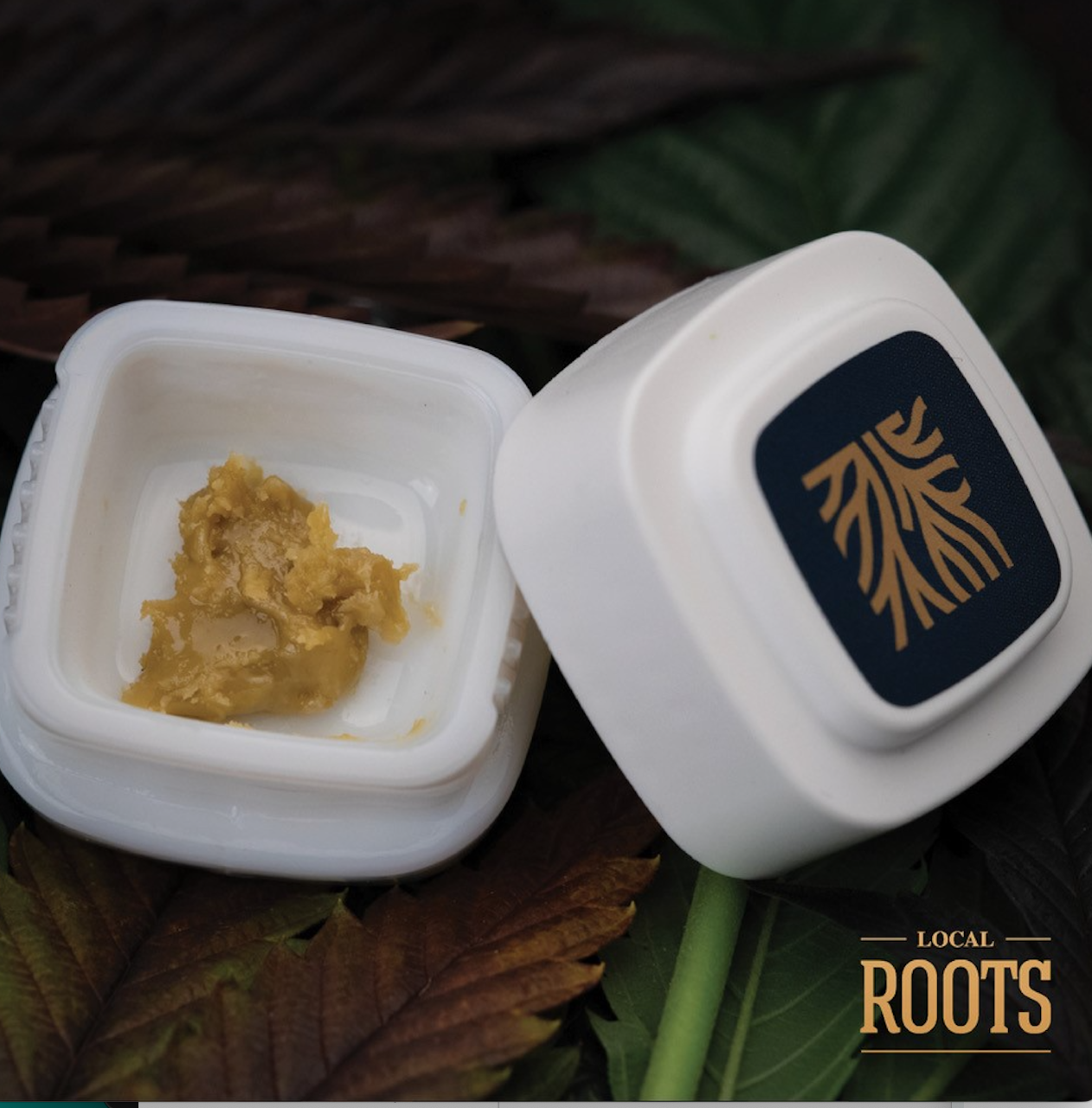 Photograph of product: GG4 Organic Live au chocolat Rosin | 1g