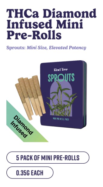 Photograph of product: Cherry Slushee - 1.75g 5pk Infused Pre Rolls
