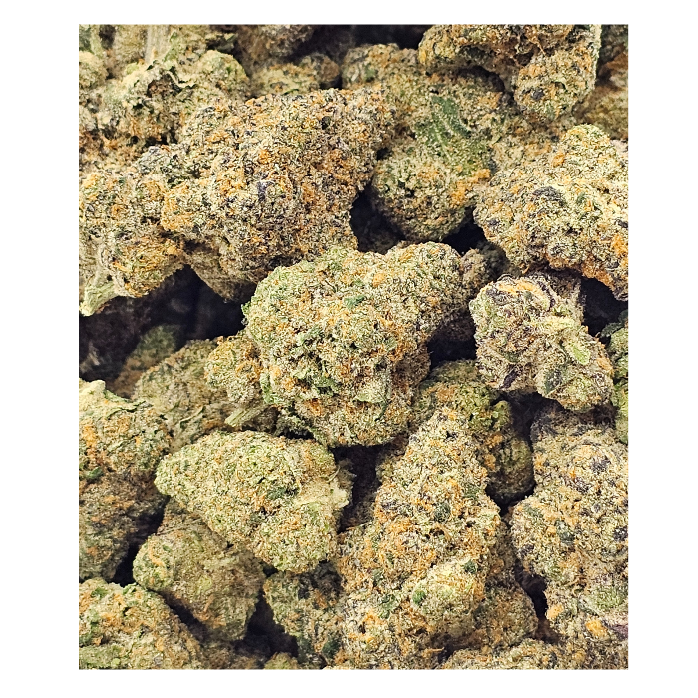 Photograph of product: Gas Tier Deli - Purple Milk - 1g