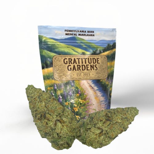 Photograph of product: Cool Rivers Ground | 14g