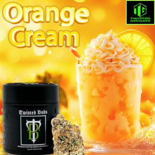 Photograph of product: Twisted Growers - Orange Cream - Flower - 3.5g