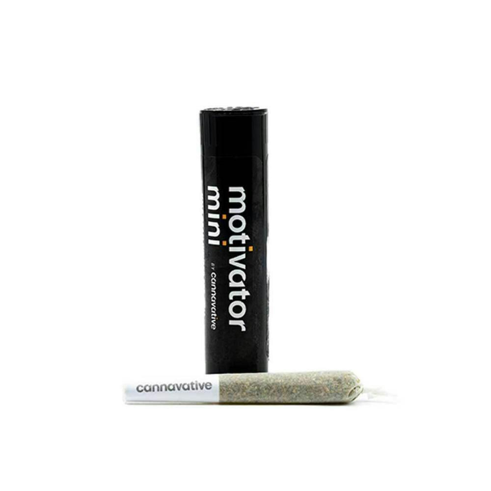 Photograph of product: Motivator Infused Romantic Gesture Pre-Roll 0.5g