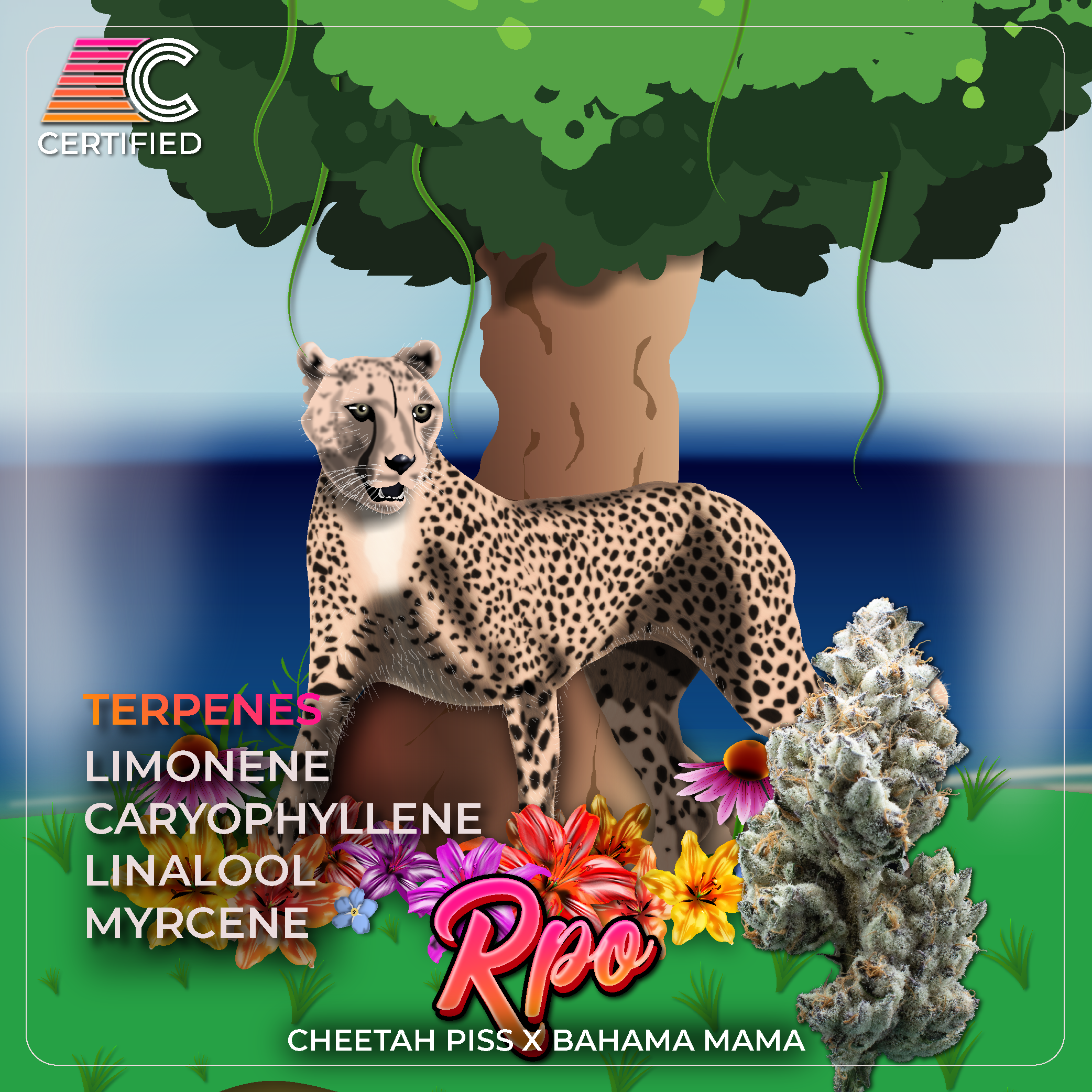 Photograph of product: RPO  | 2.83g