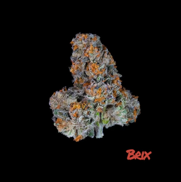 Photograph of product: Purple Milk Flower 3.5g I T28.73% C0101000190