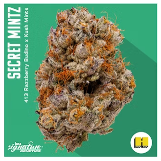 Photograph of product: INSA Secret Mints 3.5g