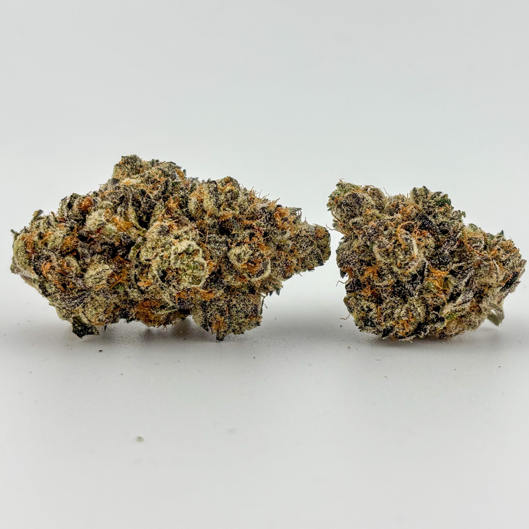 Photograph of product: High Noon | Flower (A-Buds) [I] | Stuffed Cherry Gelato  (2478)