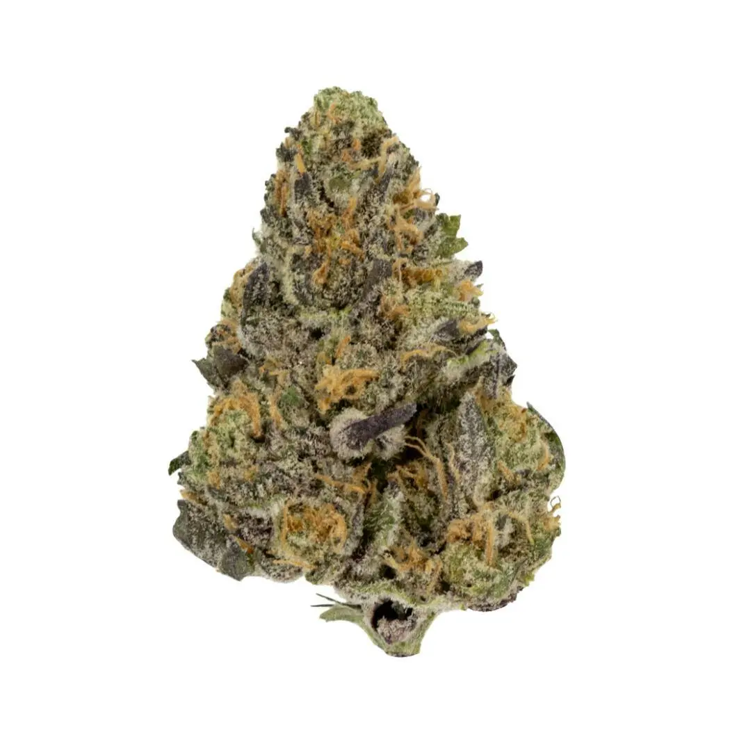 Photograph of product: Curaleaf Montana Silvertip 3.5g Whole Flower (H) 00803