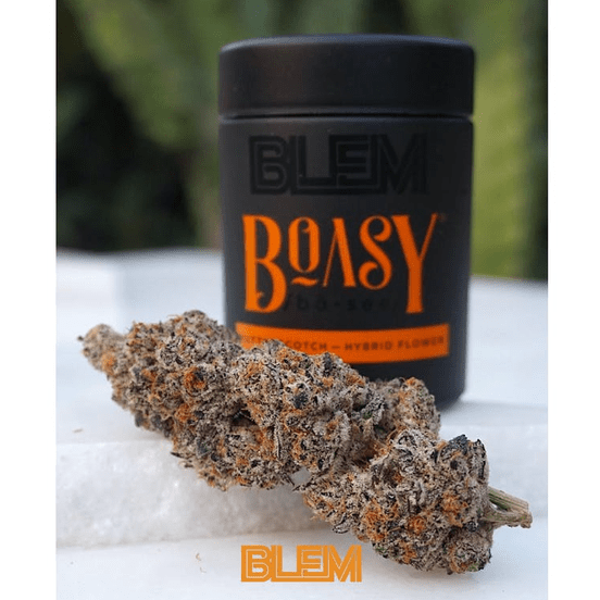 Photograph of product: Boasy - 