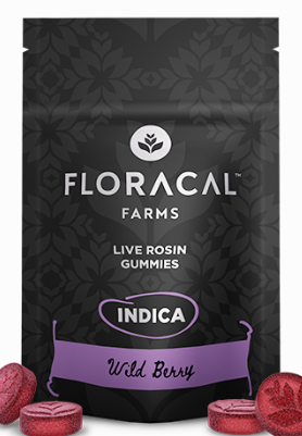 Photograph of product: Gummy Live Rosin Wild Berry [10pk] | 100mg
