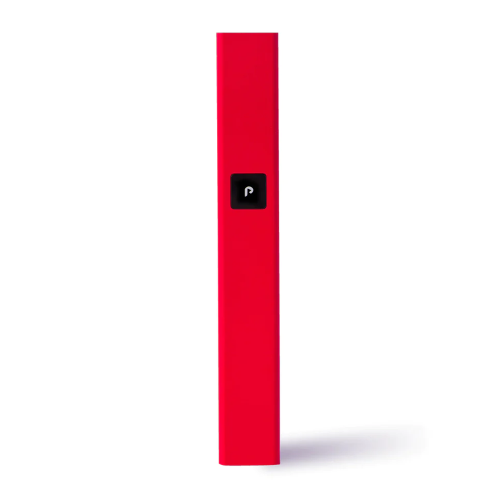 Photograph of product: Red Steel Play Battery Kit