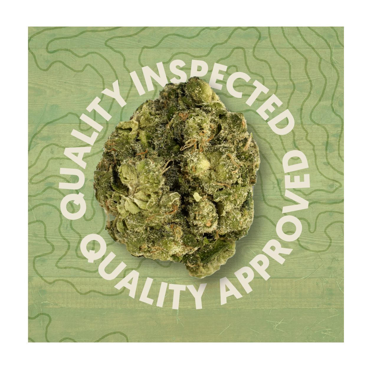 Photograph of product: QR Brands - Blockberry - 28g