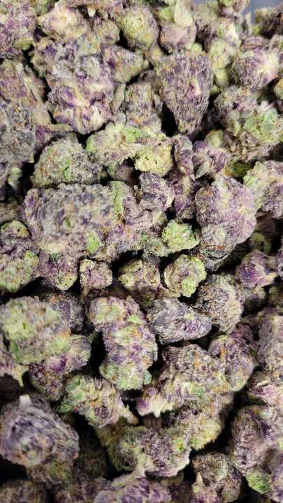 Photograph of product: B Bud Purple Rain SEEDS (Hotbox Farms)