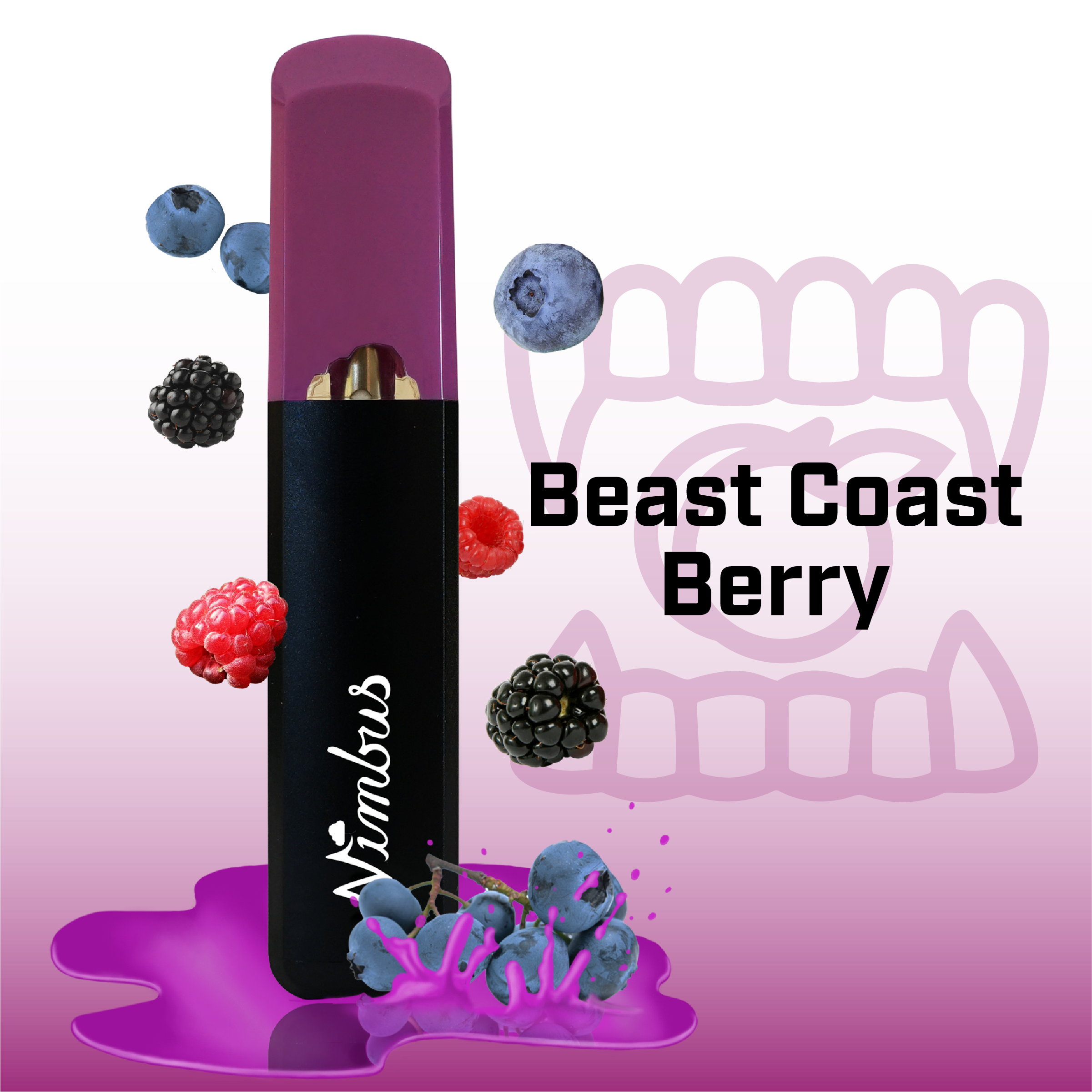 Photograph of product: Beast Coast Berry Disposable