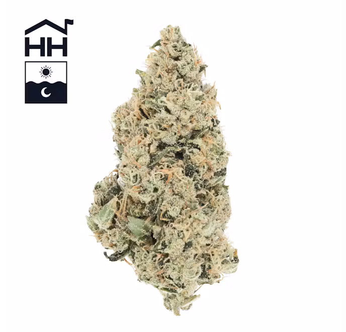 Photograph of product: Aspen OG | TAX INCLUDED - 7g