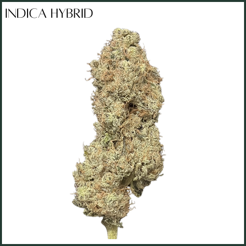 Photograph of product: AltSol DC | au chocolat Burger | Flower - 3.5g