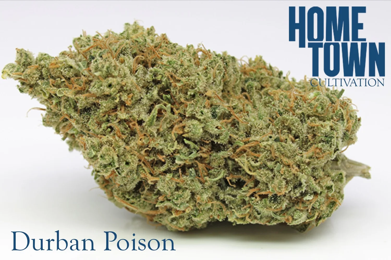 Photograph of product: Hometown Cult. - Durban Poison - Top Shelf Flower - 28g