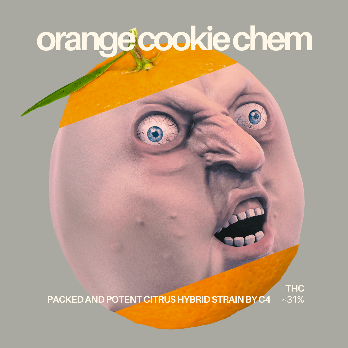 Photograph of product: C4: Flower | Orange Cookie Chem | 3.5g