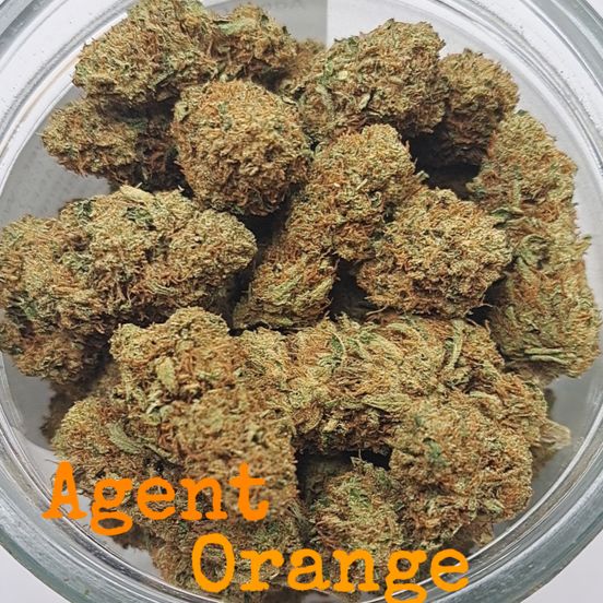 Photograph of product: Agent Orange - Loose Flower - Williams Wonder - (Batch 07522) - 28g