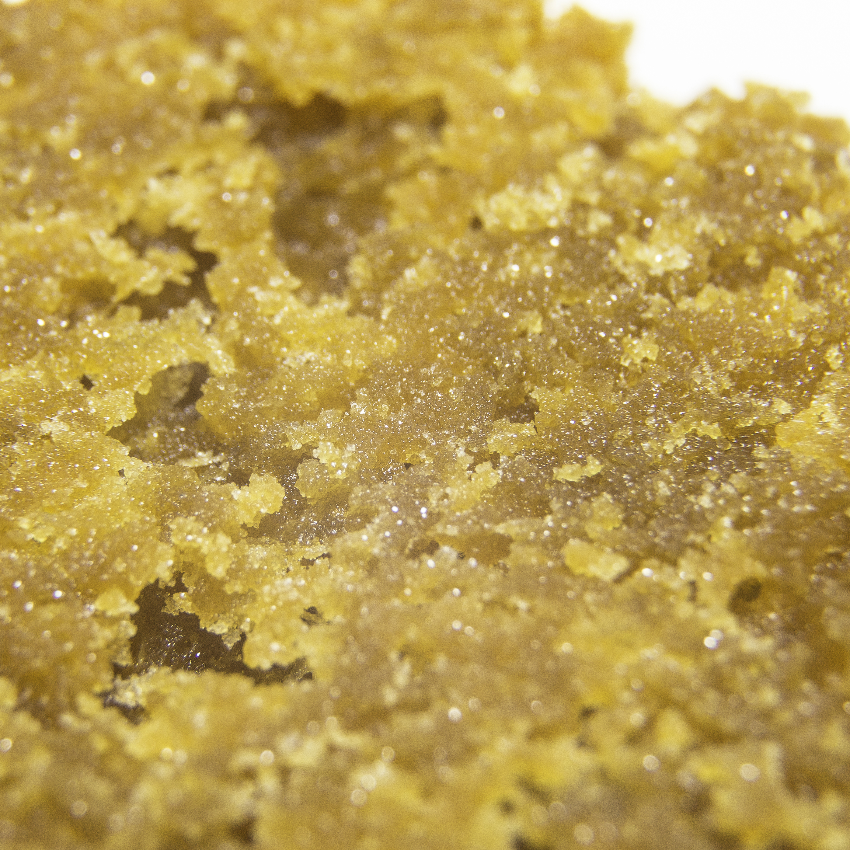 Photograph of product: Regions Extracts | VN Kush Sugar Wax | 1g
