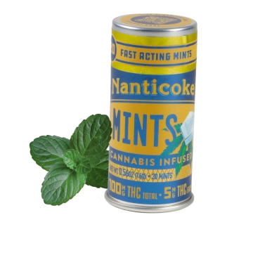 Photograph of product: Nanticoke I Edible I Mints - 100mg