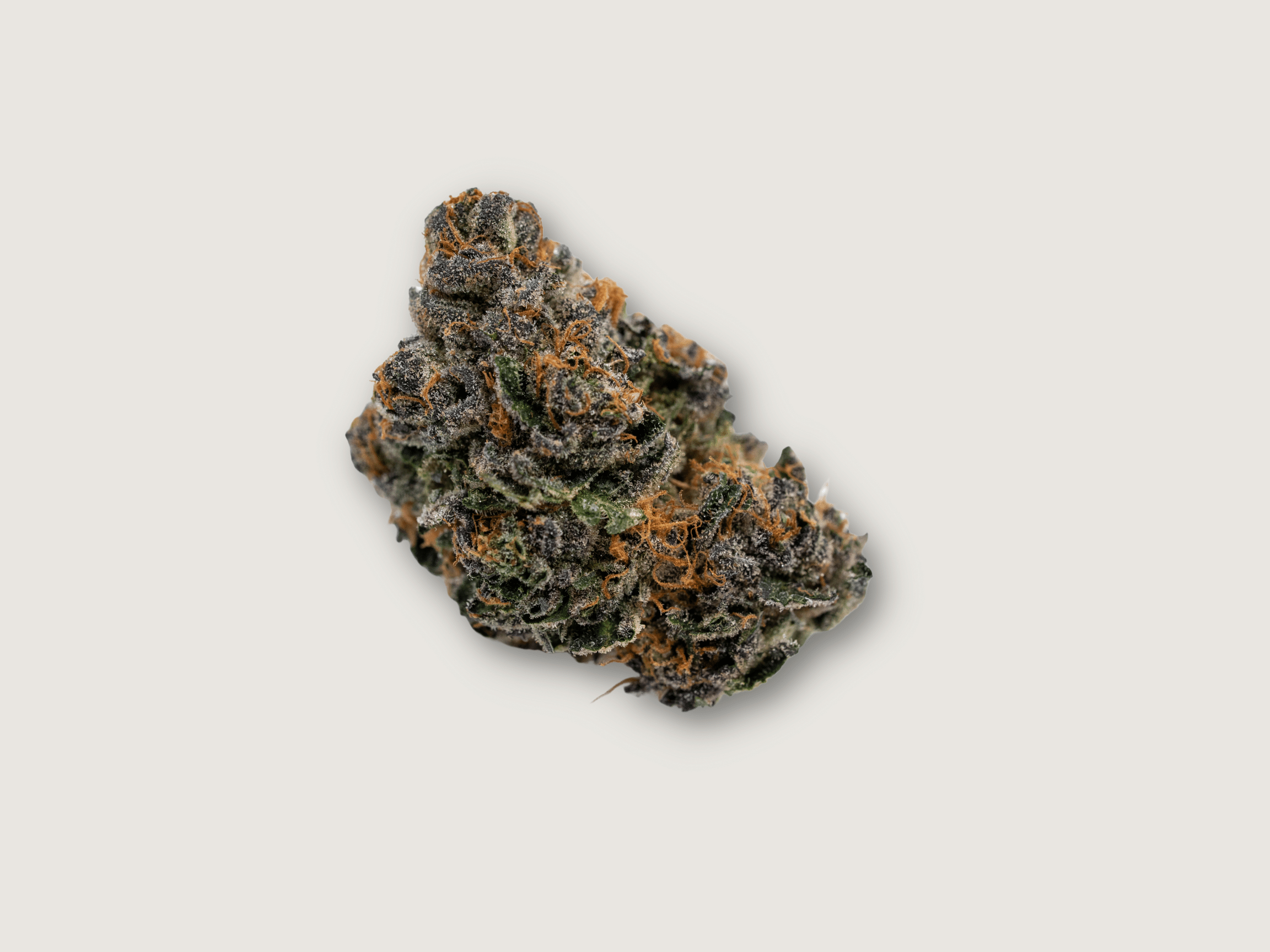 Photograph of product: OZ - Highlighter - (Hybrid) - 26.3%TH-oui (+/-10%) - Plant Nerd - 9588 - 28g