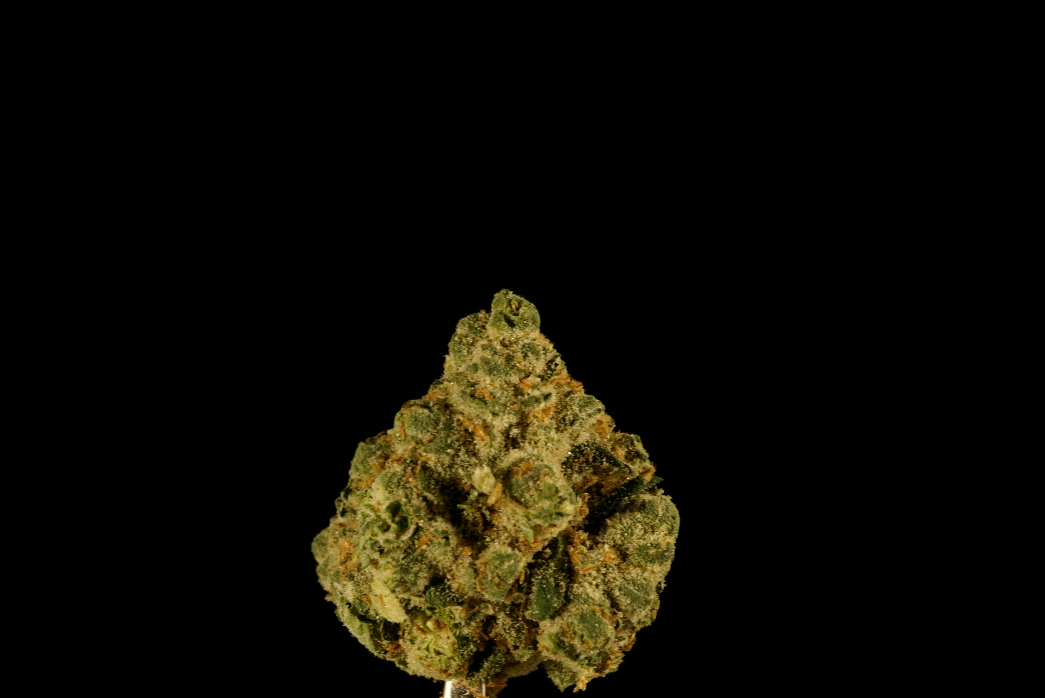 Photograph of product: Hippie Crasher