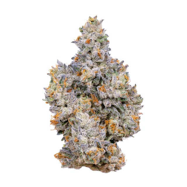 Photograph of product: Gemini | 3.5g Flower