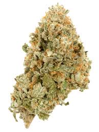 Photograph of product: Platinum Shelf - Grape Gasoline (I) - 14g