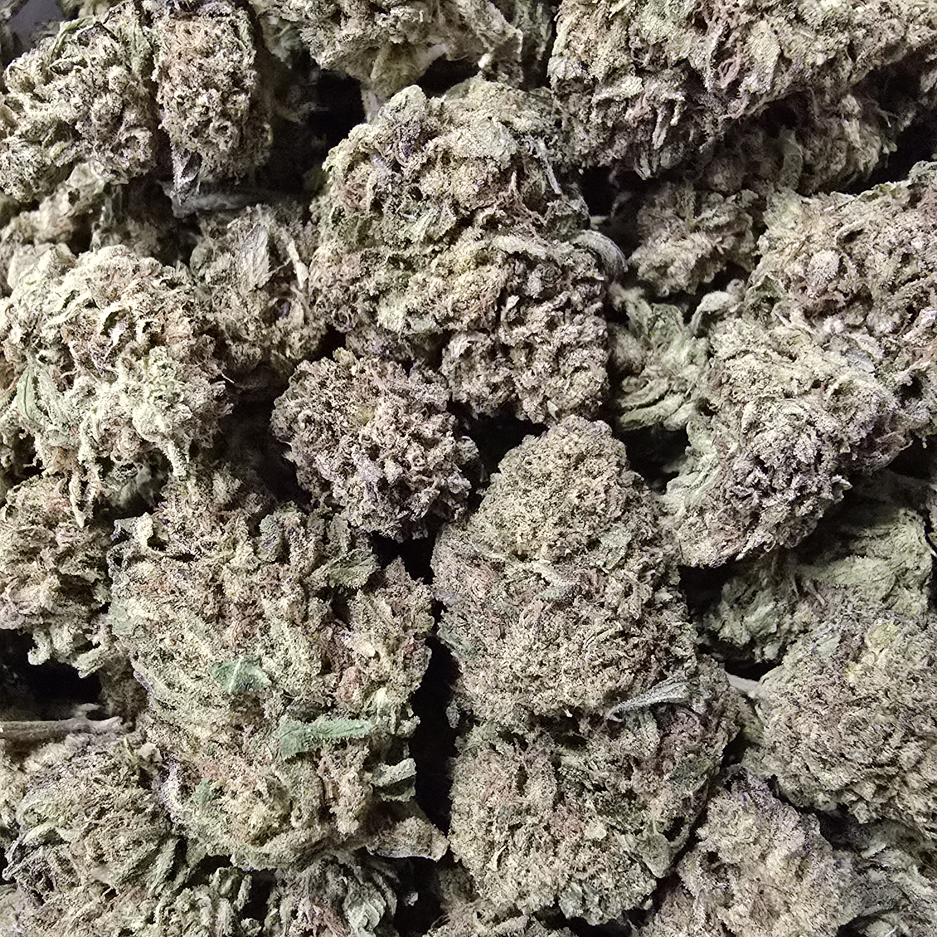 Photograph of product: Warritos (4.21% Terps)  *[Dime Store Deal] - 1g