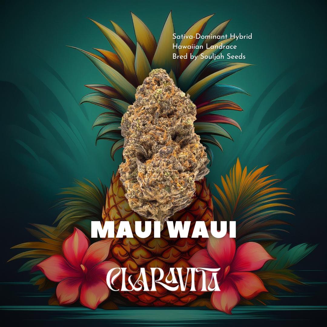 Photograph of product: Maui Waui | Flower | 3.5g | By Claravita