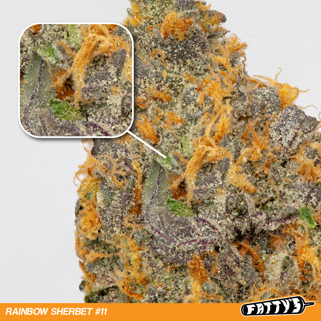 Photograph of product: Fatty's | Rainbow Sherbet #11 - 28g