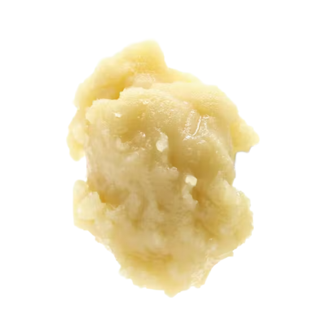 Photograph of product: CHERRY PALOMA #3 PERSY BADDER 1G