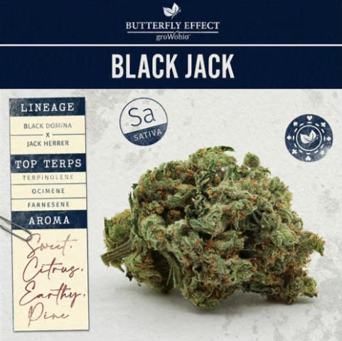 Photograph of product: Lemon G | 28.3g