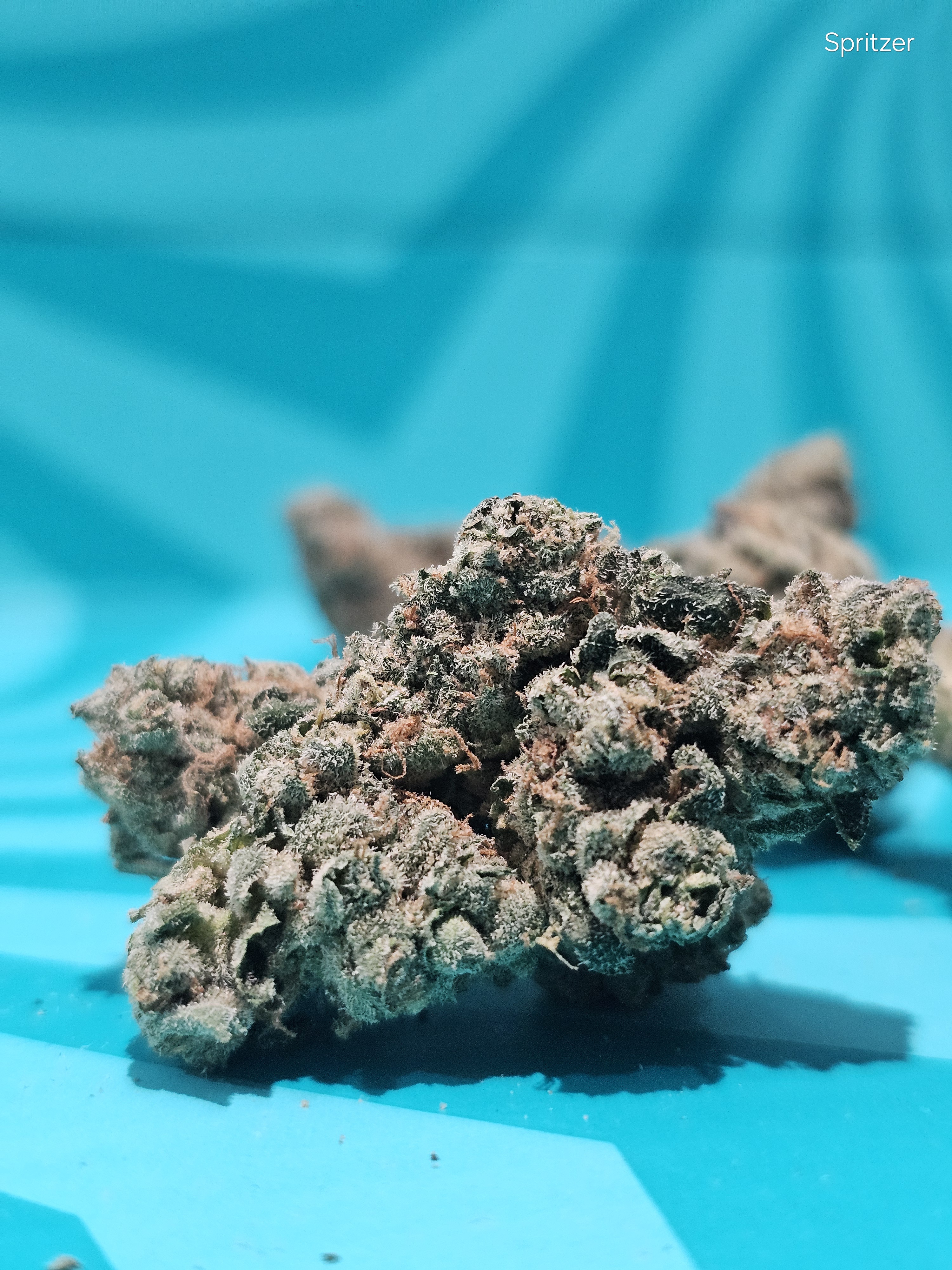 Photograph of product: Flower | REC - Spritzer - 28g