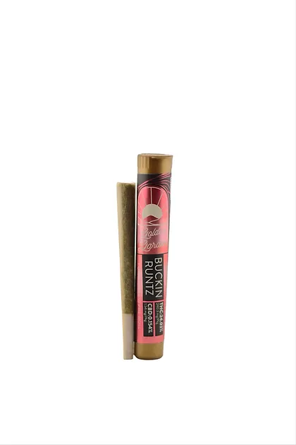 Photograph of product: Golden Garden - Buckin Runtz - 1g Preroll