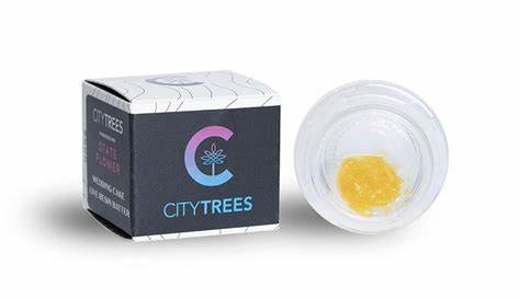Photograph of product: City Trees | Gelato Crunch (H) Sugar