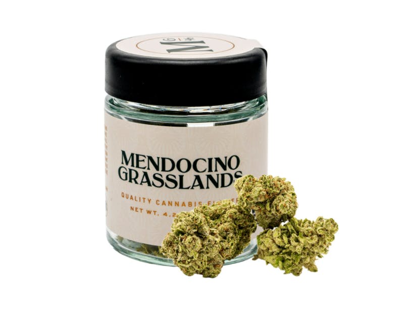 Photograph of product: Mendocino Grasslands - Lilac Mintz 4.2g